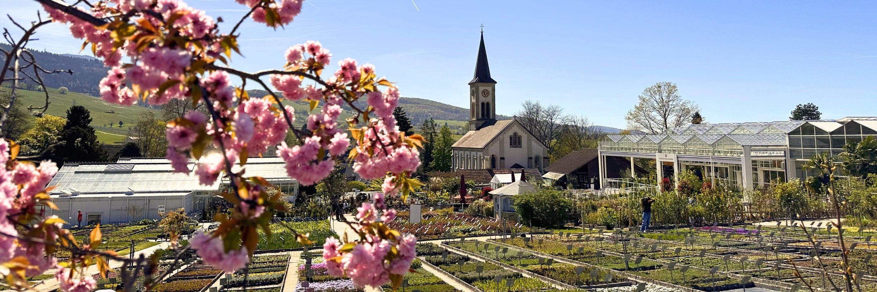Blick über die Staudengärtnerei Gräfin von Zeppelin im Frühling