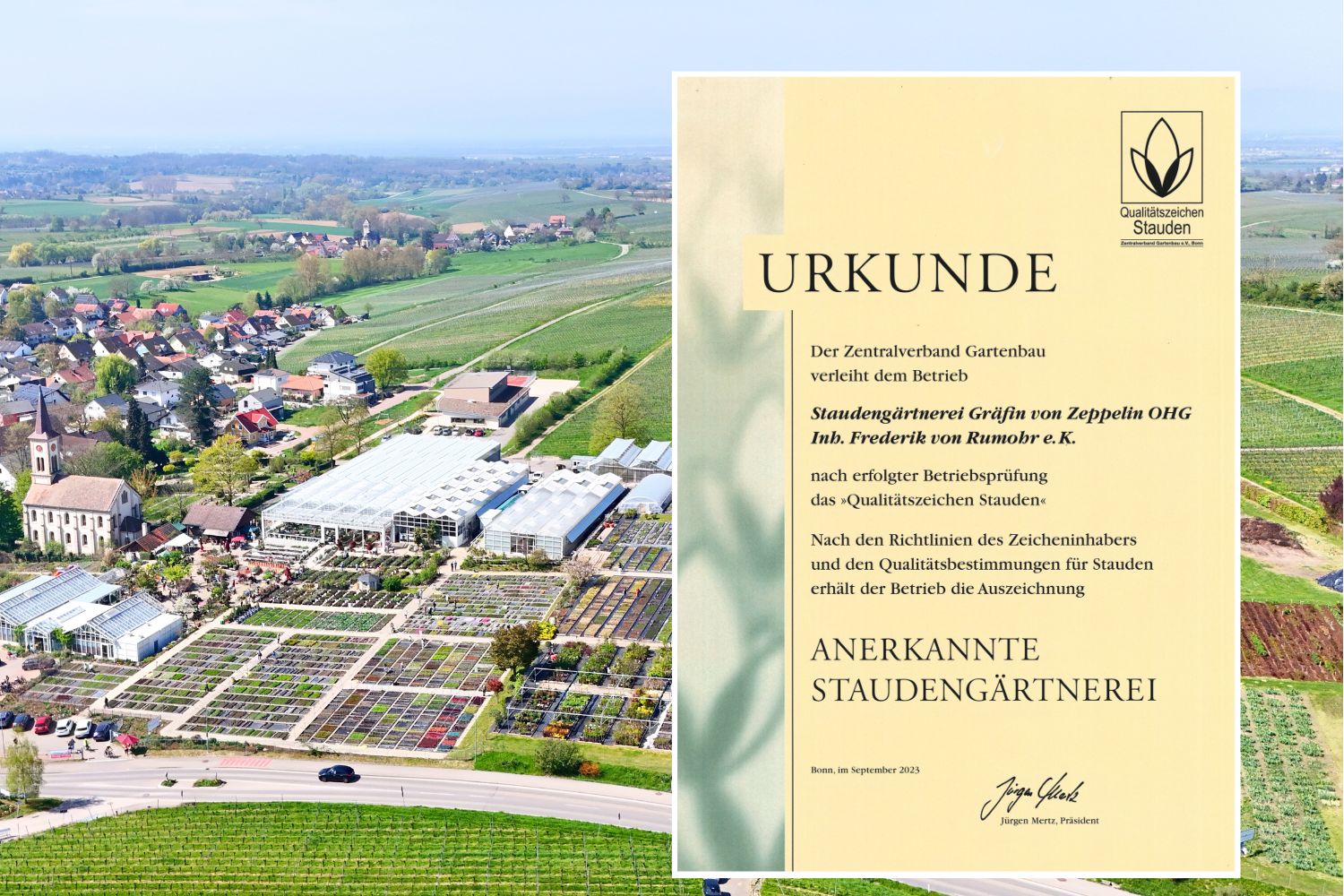 Urkunde - Anerkannte Staudengärtnerei - Qualitätszeichen Stauden