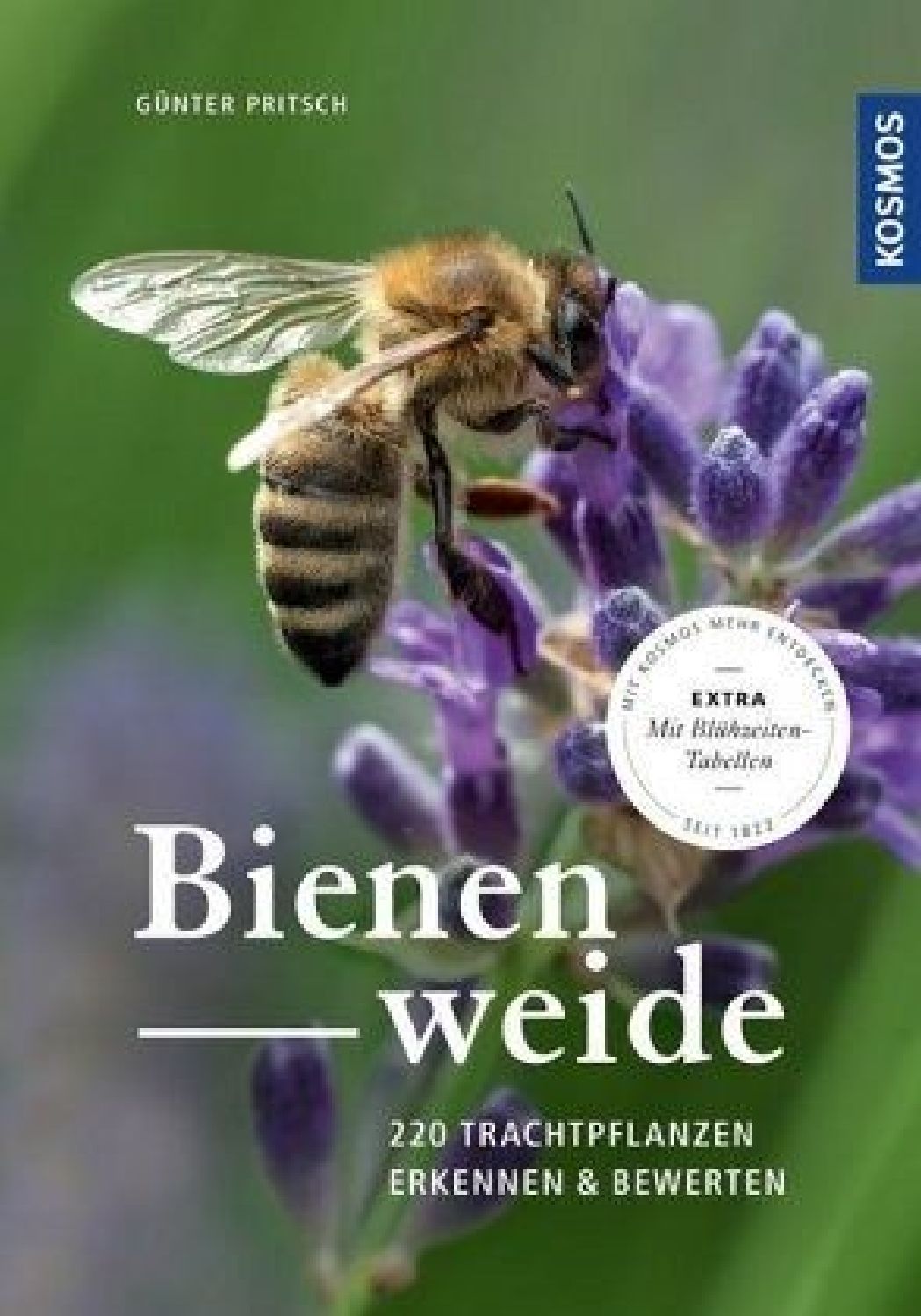 Bienenweide Günter Pritsch