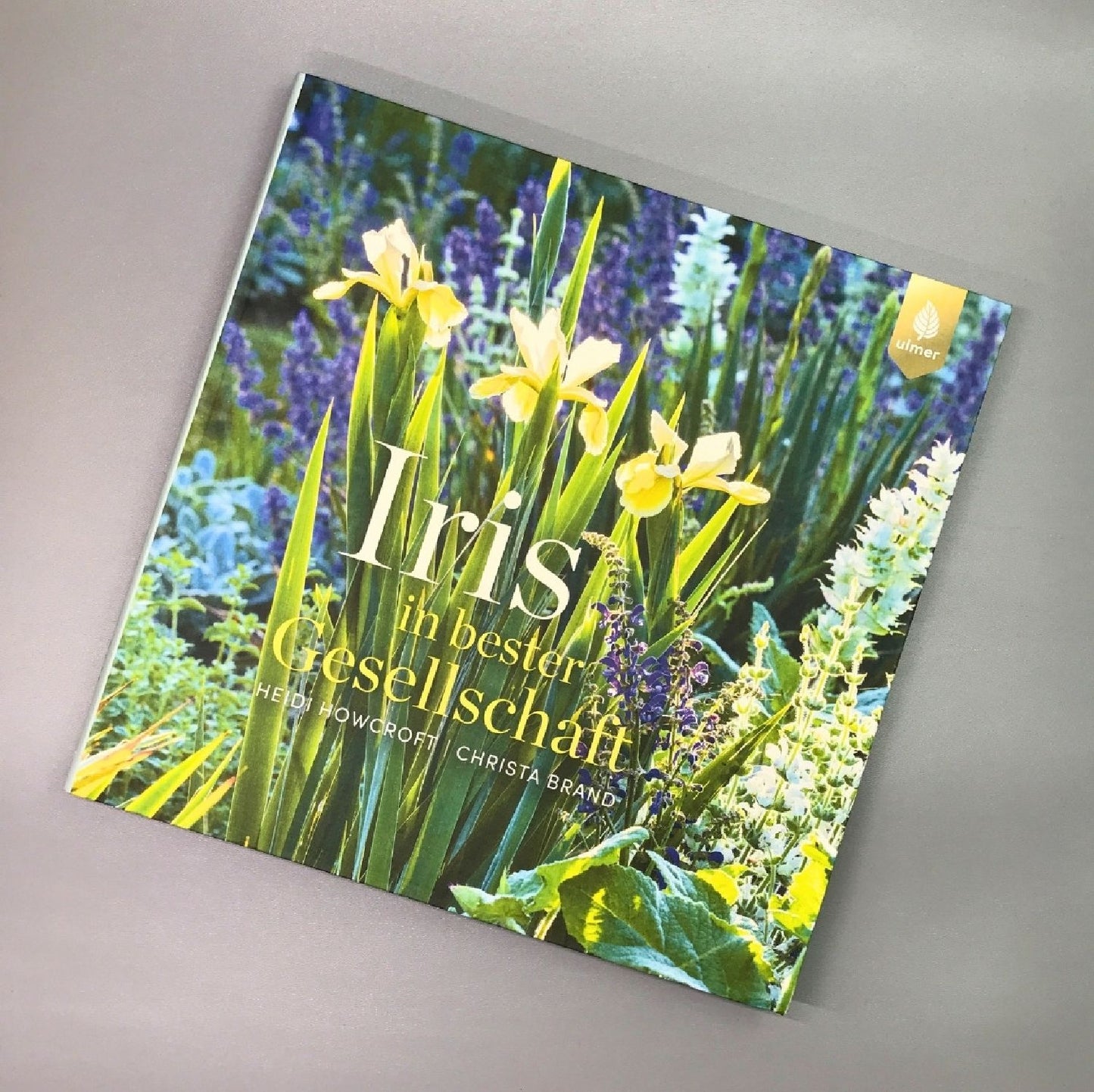 Iris in bester Gesellschaft (Heidi Howcroft & Christa Brand)