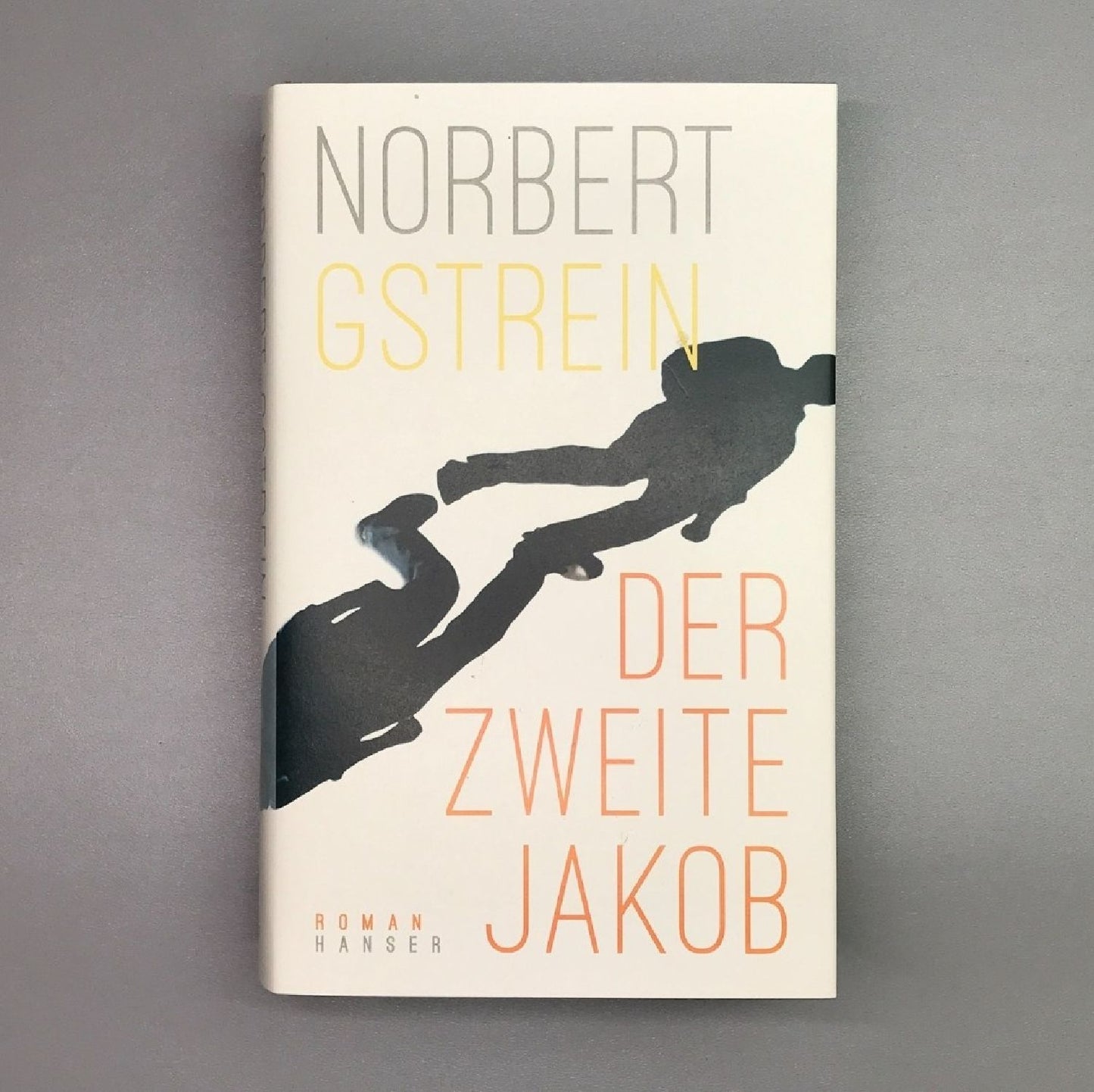 Der zweite Jakob (Norbert Gstrein)