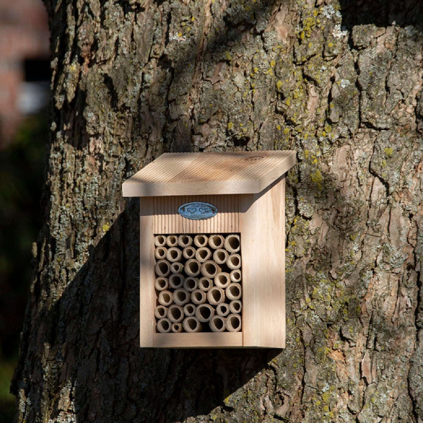 Bienenhaus (aus Erlenholz)