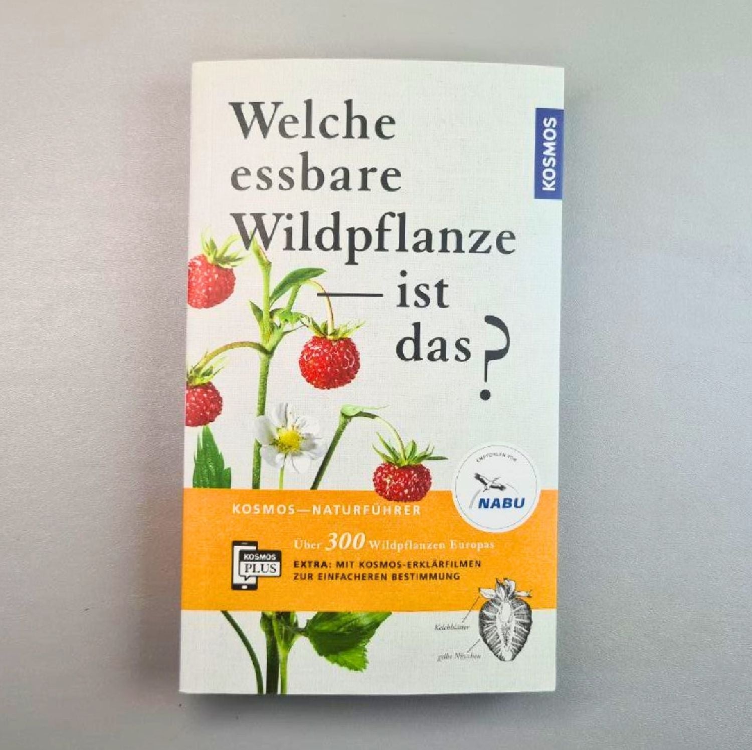 Welche essbare Wildpflanze ist das? Über 300 Wildpflanzen Europas